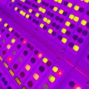 Meet your Posher, Aurielle